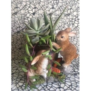 Ruby Necklace Othonna Capensis Mixed Succulent In A Bunny Pot